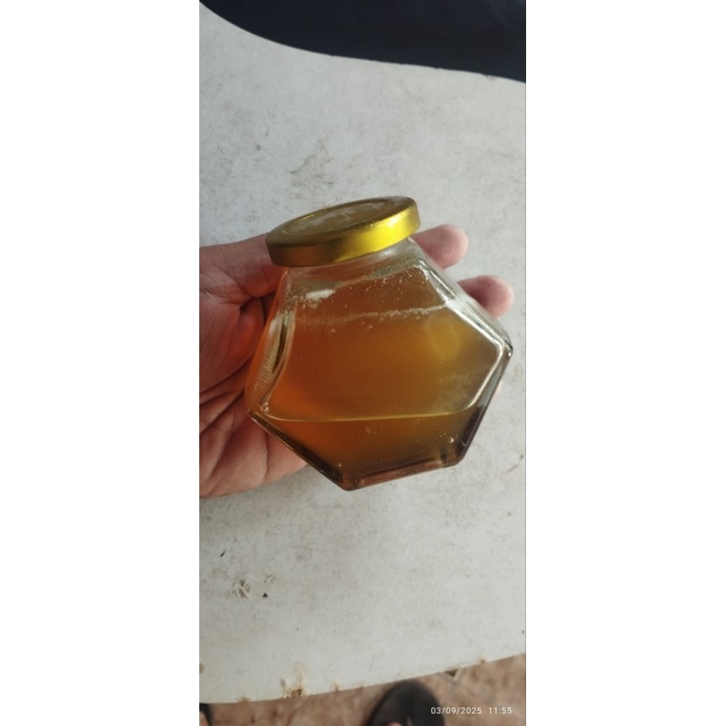 

madu murni hutan100%