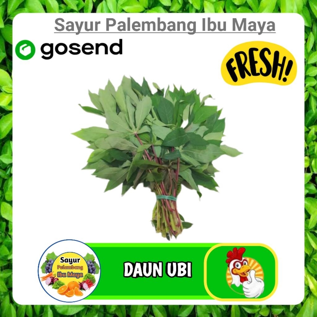 

Daun Ubi / Singkong Per ikat - Palembang