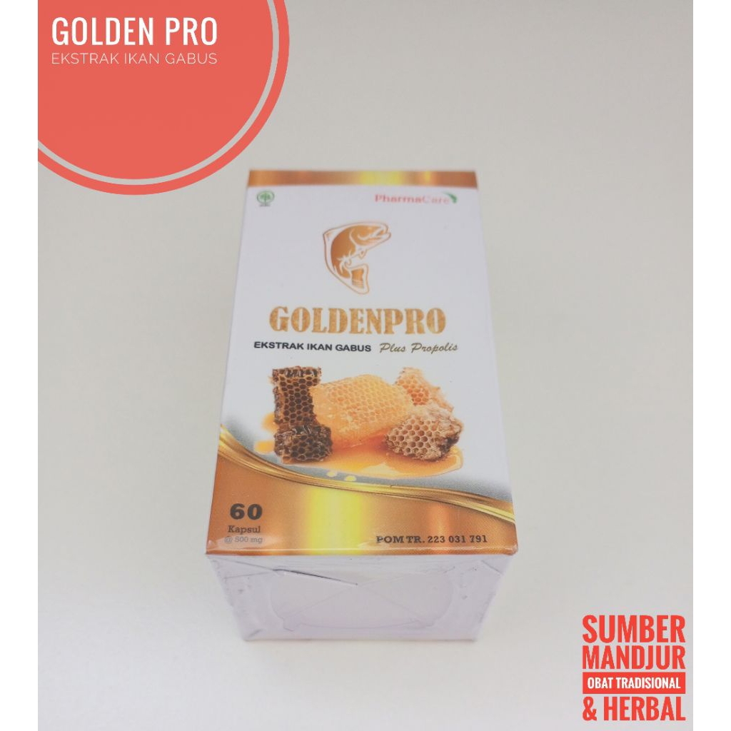Golden Pro Kapsul Ekstrak Ikan Gabus Pasca Operasi