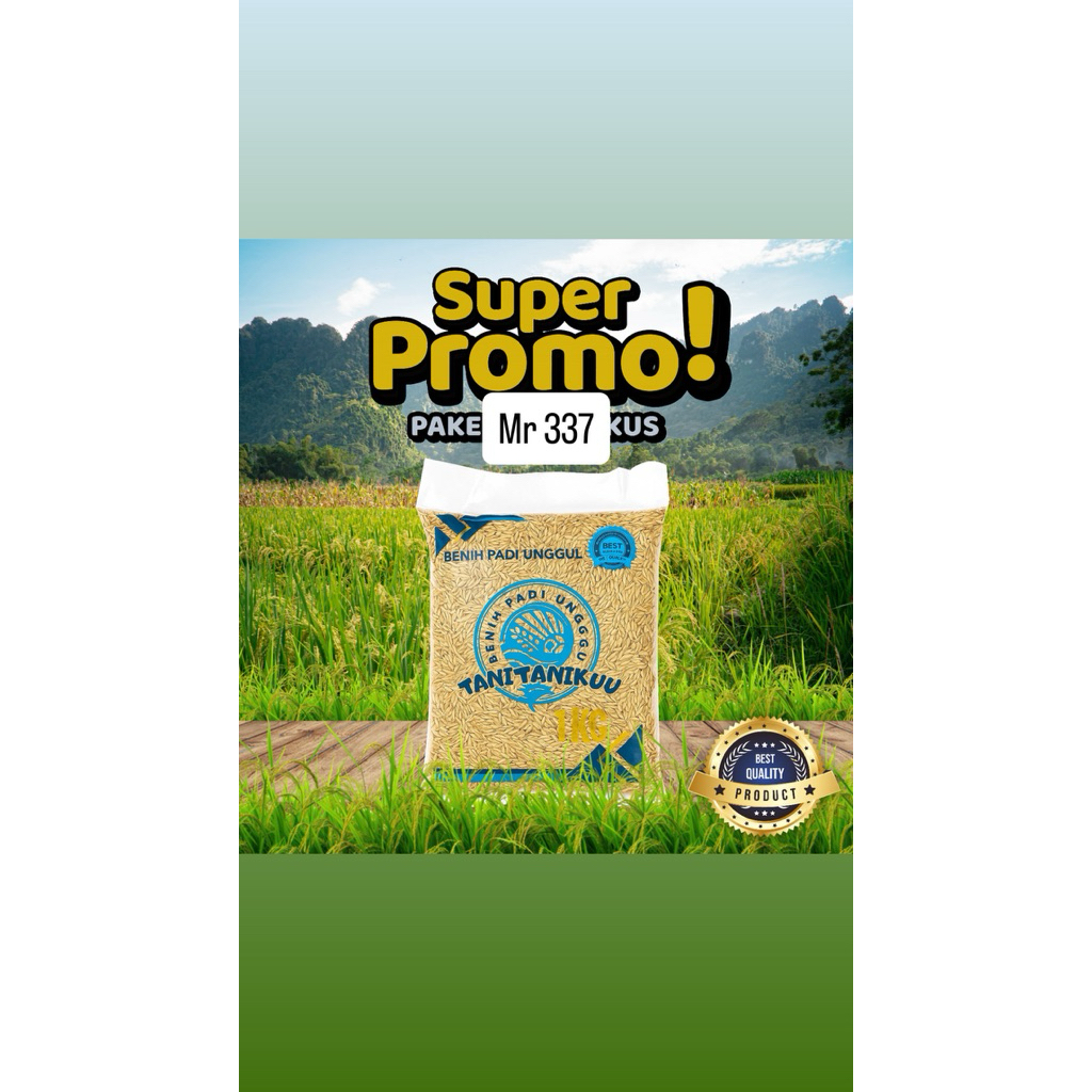 benih padi bibit padi MR 337 original kemasan 1 kg