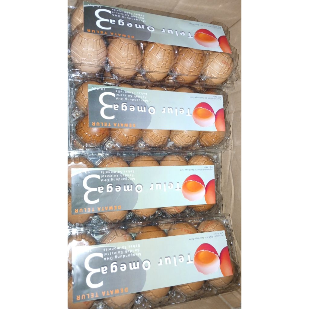 

TELUR OMEGA3 10 BUTIR