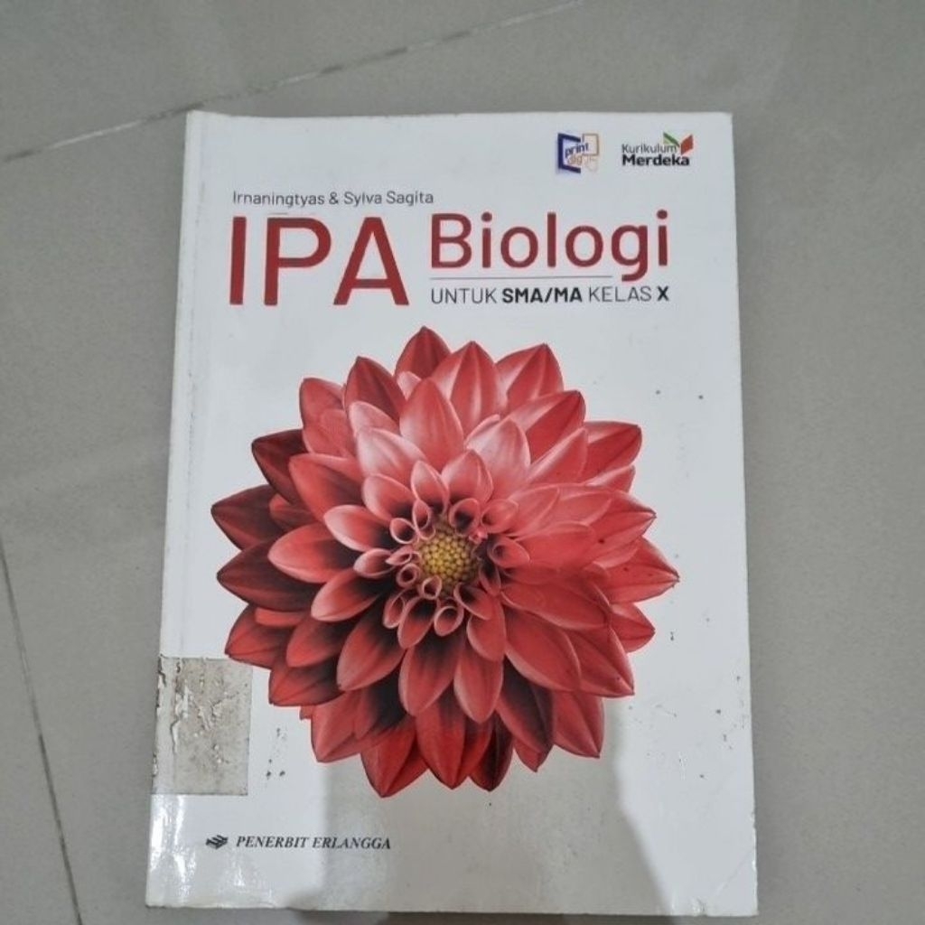 buku ipa biologi kelas 10 erlangga