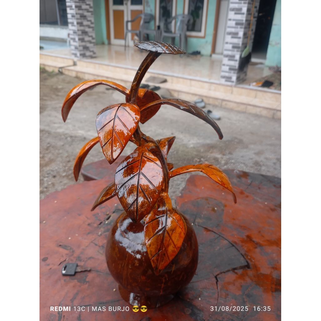 Bunga Batok Kelapa Hias Terlaris