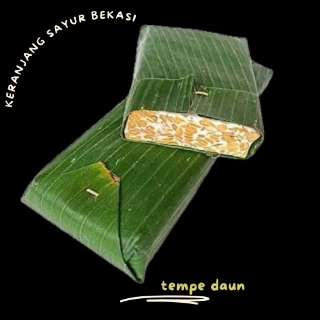

tempe lonjor daun