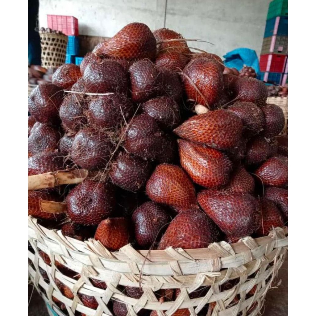 

salak pondo netto 1000ge