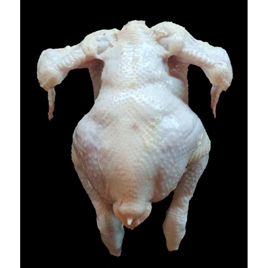 

AYAM KARKAS FRESH FROZEN 700-800 GRAM