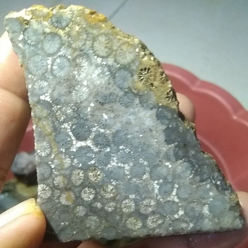 BATU TERATAI HITAM SUPER UNIK DAN LANGKA