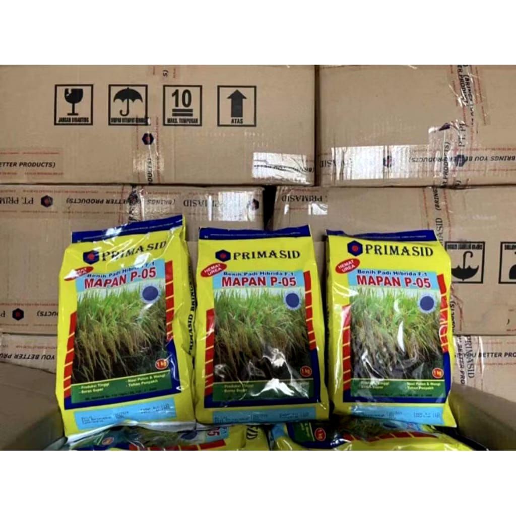 BIBIT PADI MAPAN P. 05 KEMASAN 1KG ORIGINAL PRIMASID
