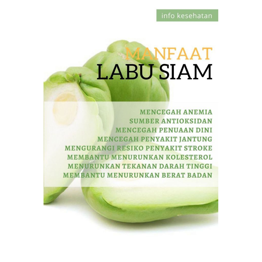 

labu Siam segar dan fres 1kg langsung di petik dari ladang