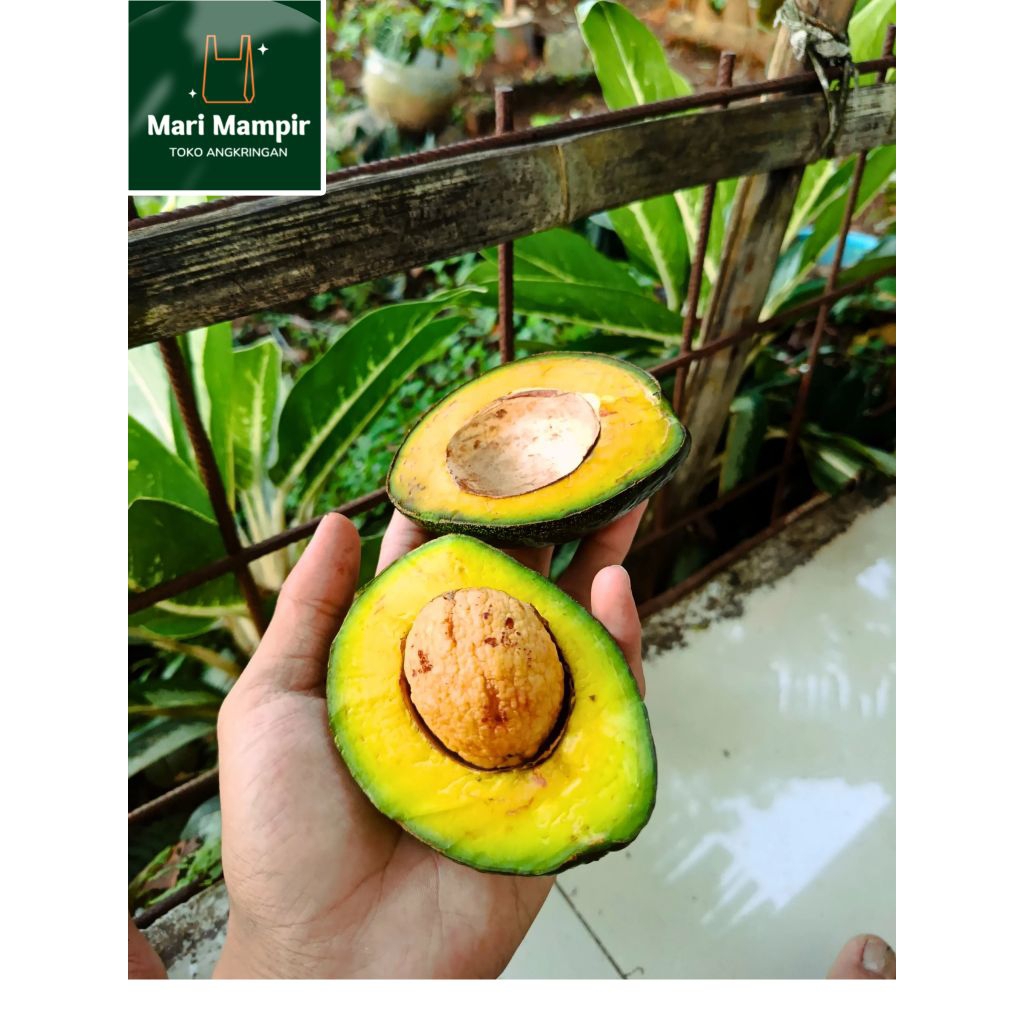 

alpukat mentega enak isi 3-4