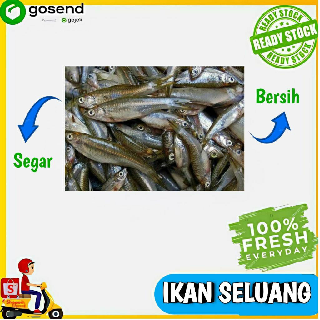 

Ikan Seluang Segar - Sahabat Dapur Delivery