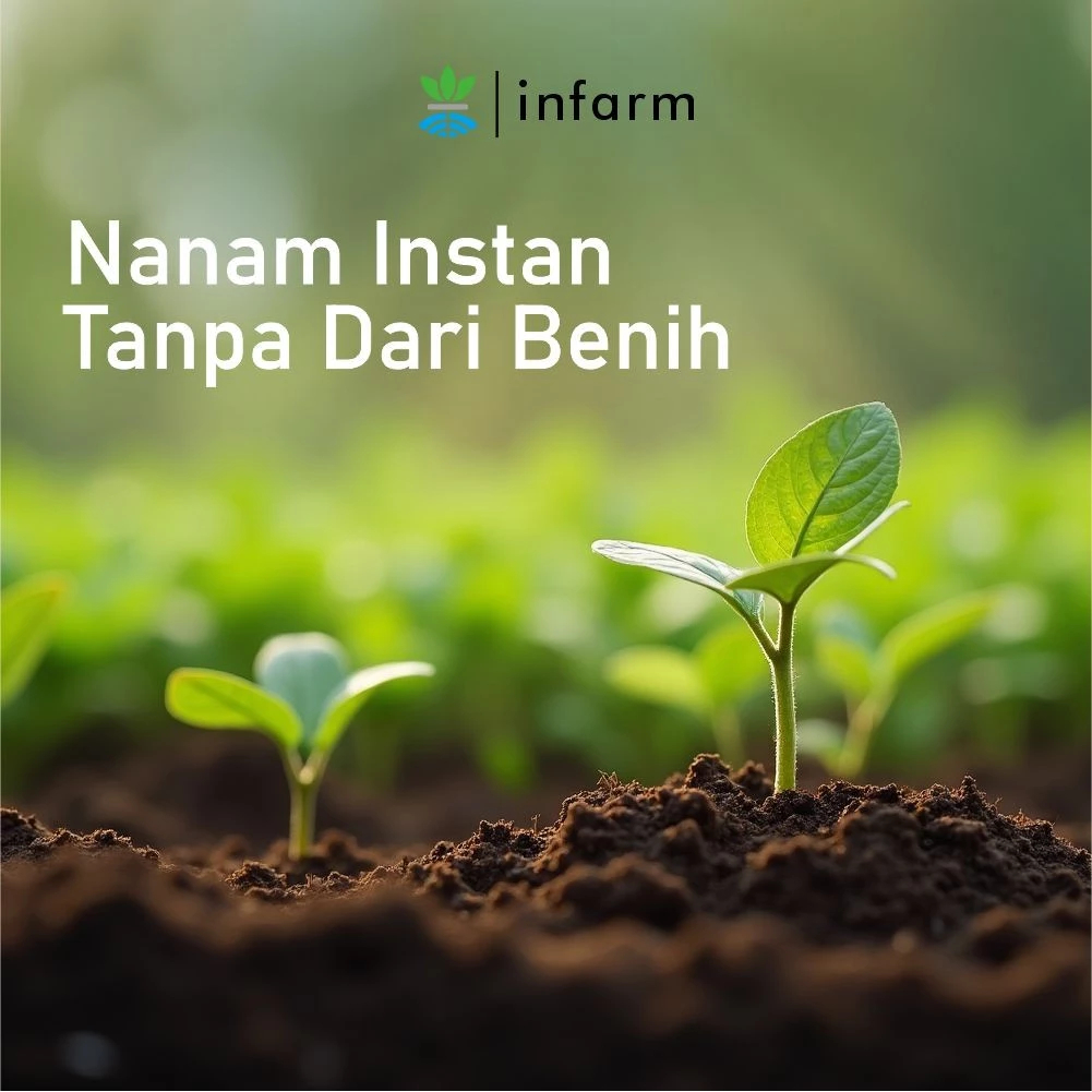 Liceriashop17 Nutrisi Dan Perangsang Akar Tanaman Stek 125 Ml Infarm / Infarm Perangsang Akar