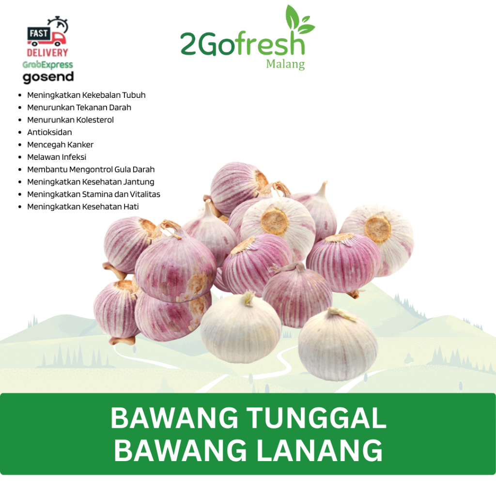 

Bawang Tunggal / Bawang Lanang - 2gofresh