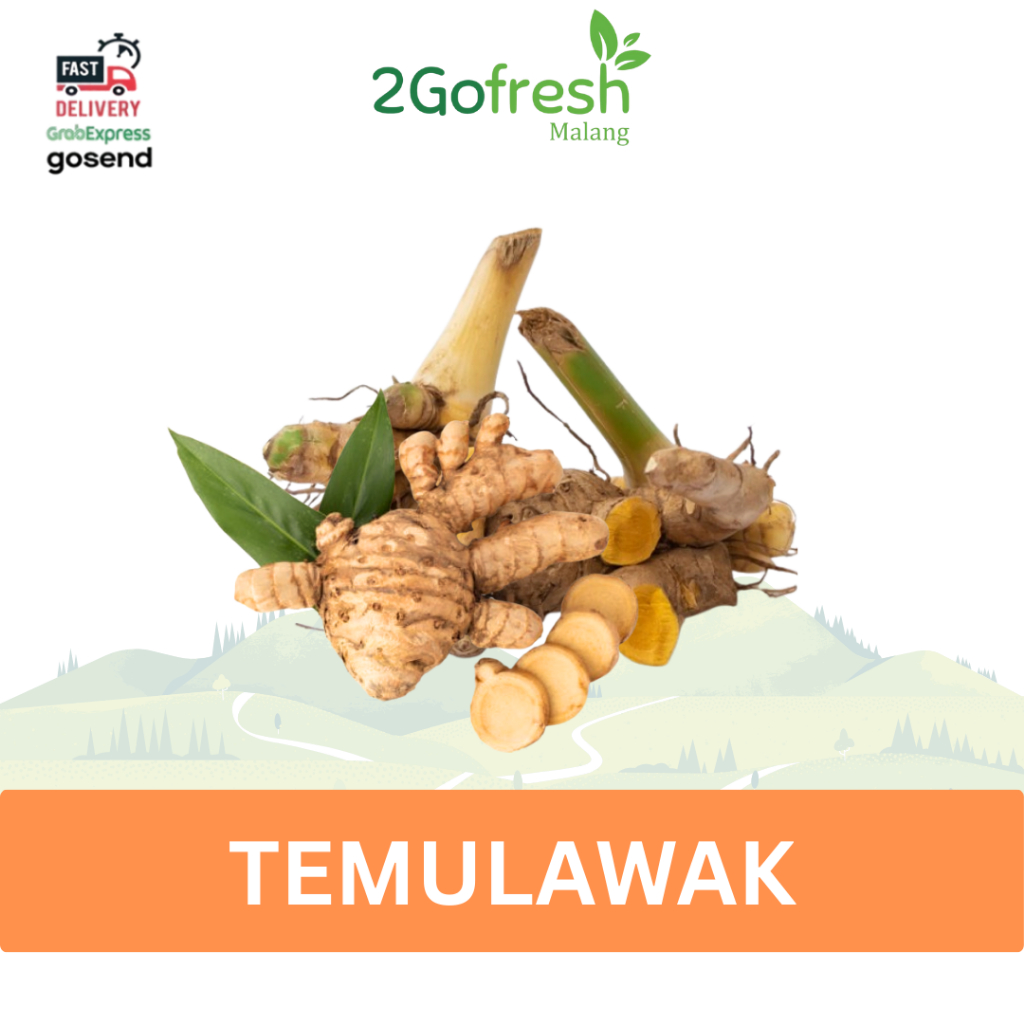 

Temulawak Rempah-Rempah Fresh - 2gofresh