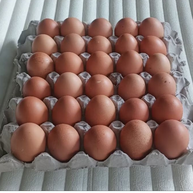 

TELUR AYAM NEGERI 1tray isi 30butir