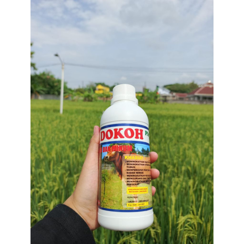 penggemuk sapi super dokoh mengandung multivitamin probiotik