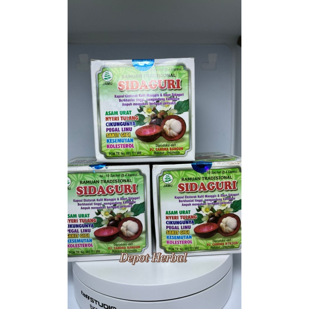 SIDAGURI KAPSUL ORIGINAL