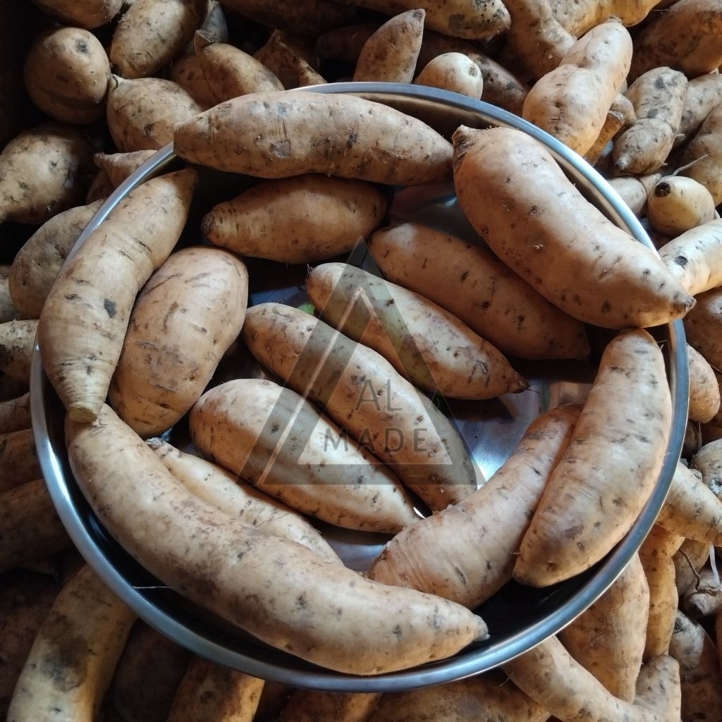 

UBI CILEMBU MENTAH UKURAN SEDANG 1KG UBI MADU JALAR ASLI CILEMBU