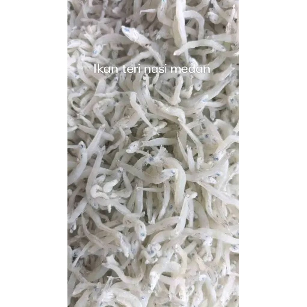 

Ikan teri nasi Medan