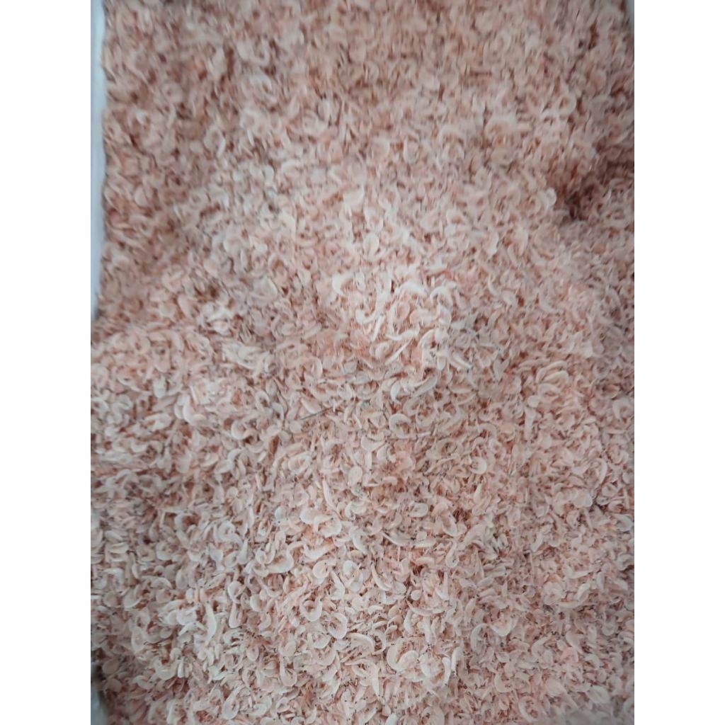 

UDANG REBON (ASIN) Kualitas premium,Bersih dan kering