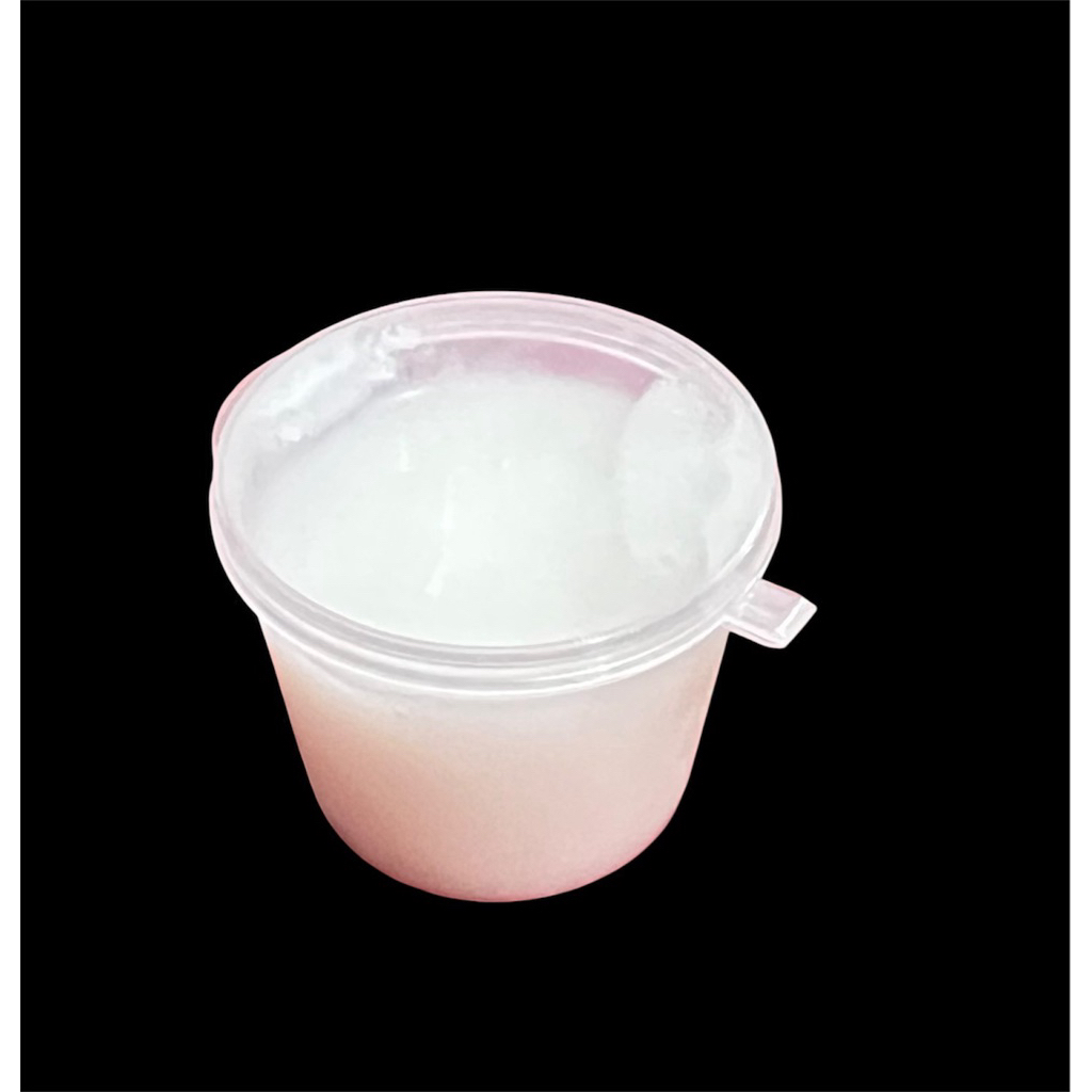 

fla mango sticky rice