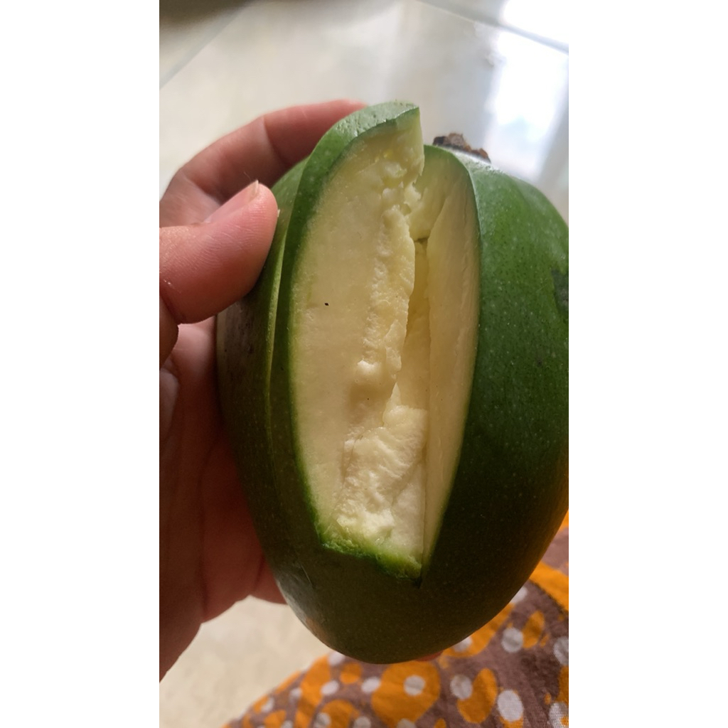 Mangga Gadung Apel Mentah