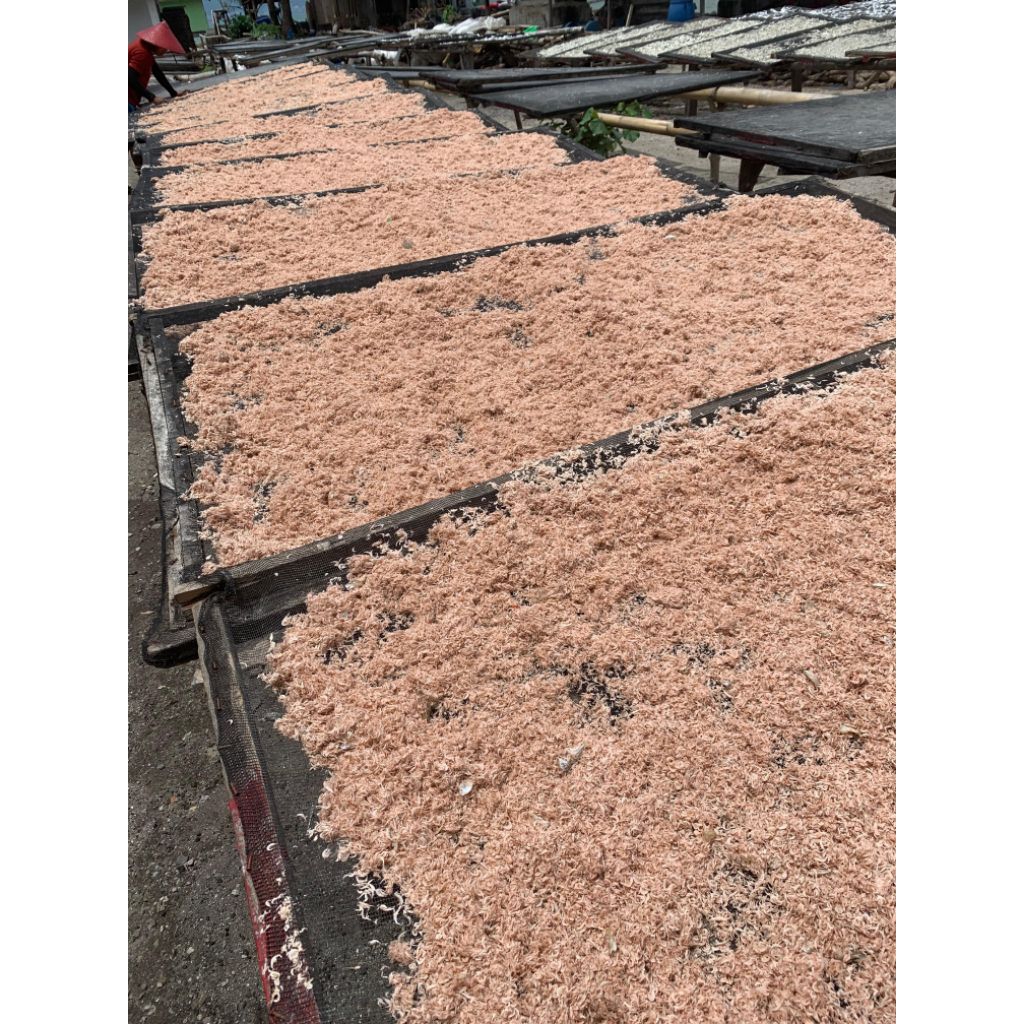 

REBON UDANG KHAS LAMPUNG