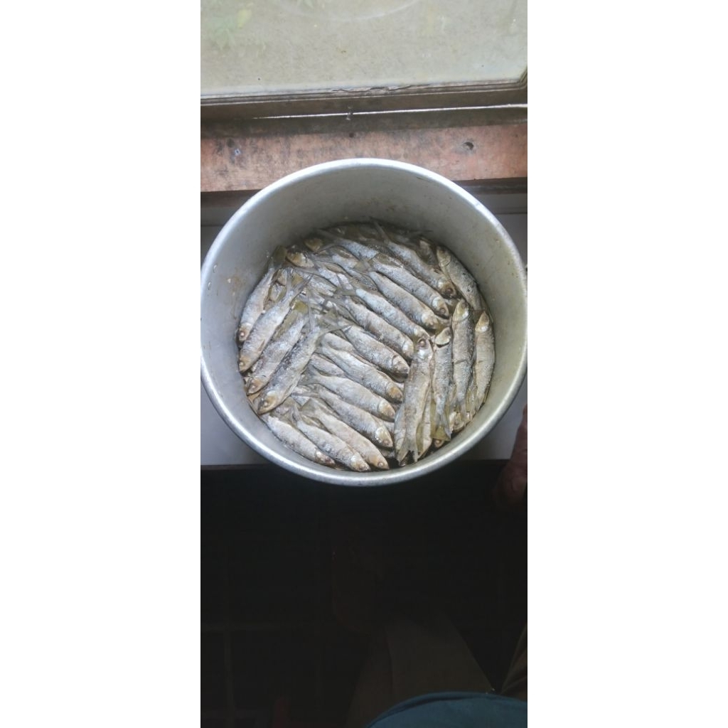 

bandeng presto mini isi 5 - 8 ekor,,250gr