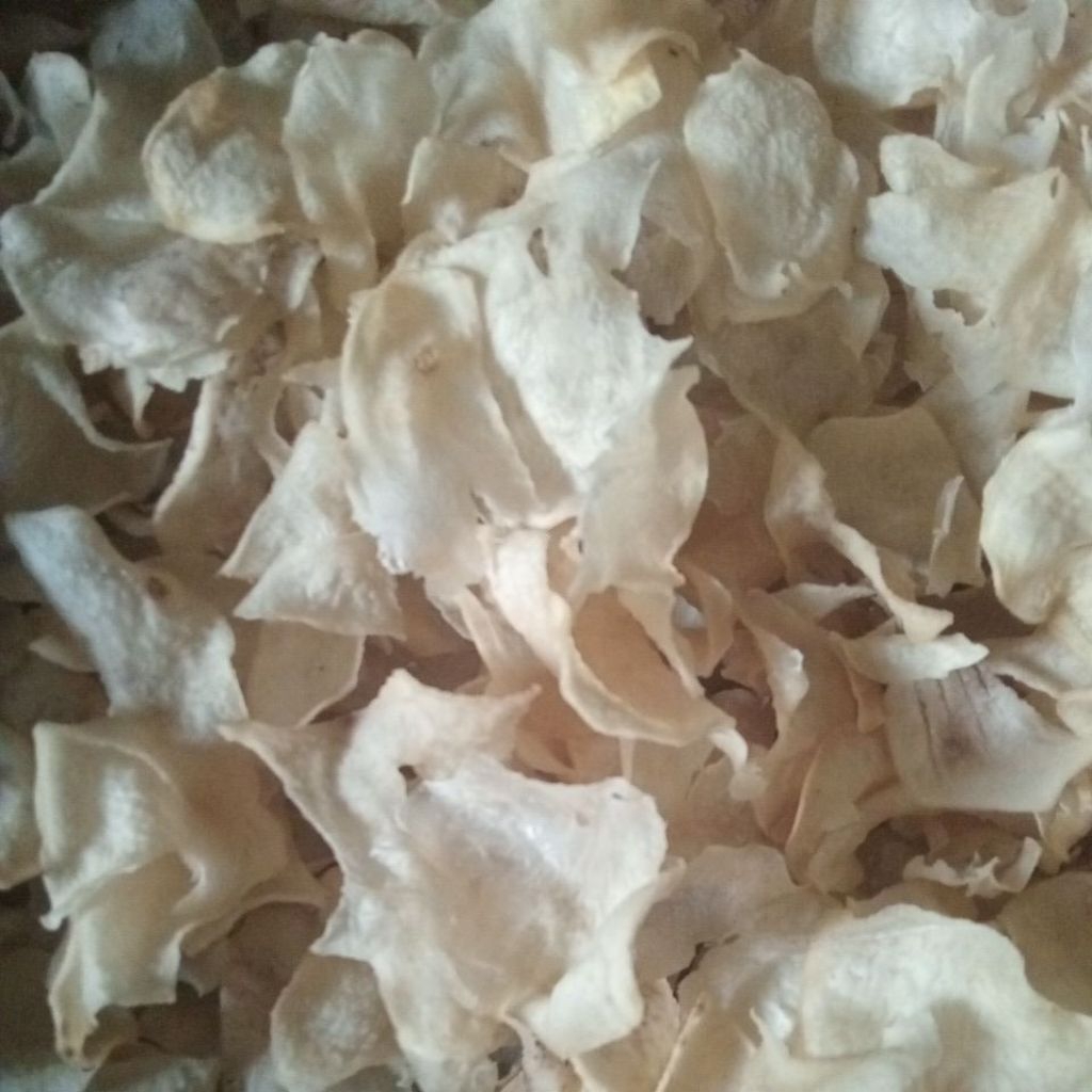 

KRUPUK GADUNG