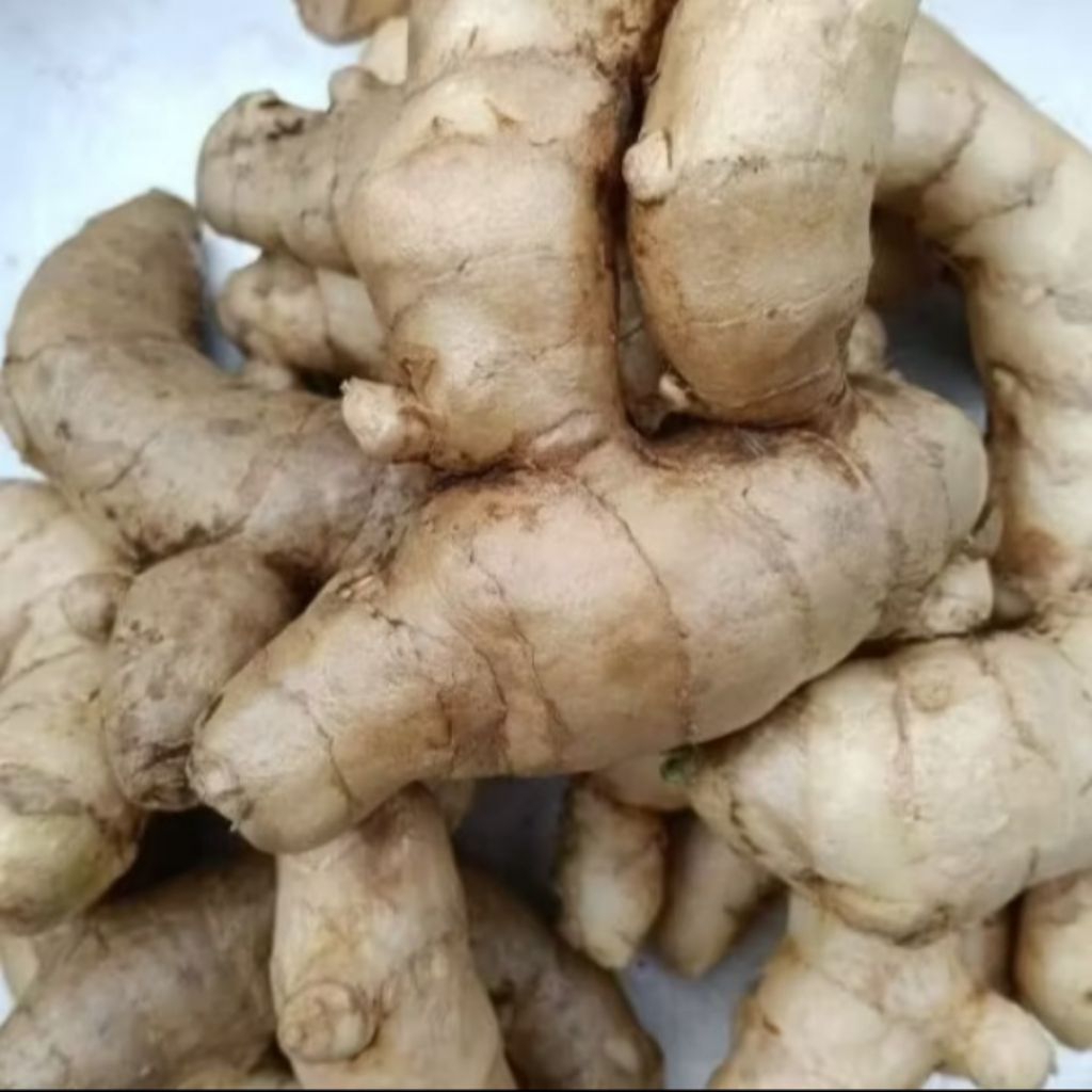 

KUNYIT PUTIH SEGAR,FRES,1 KG