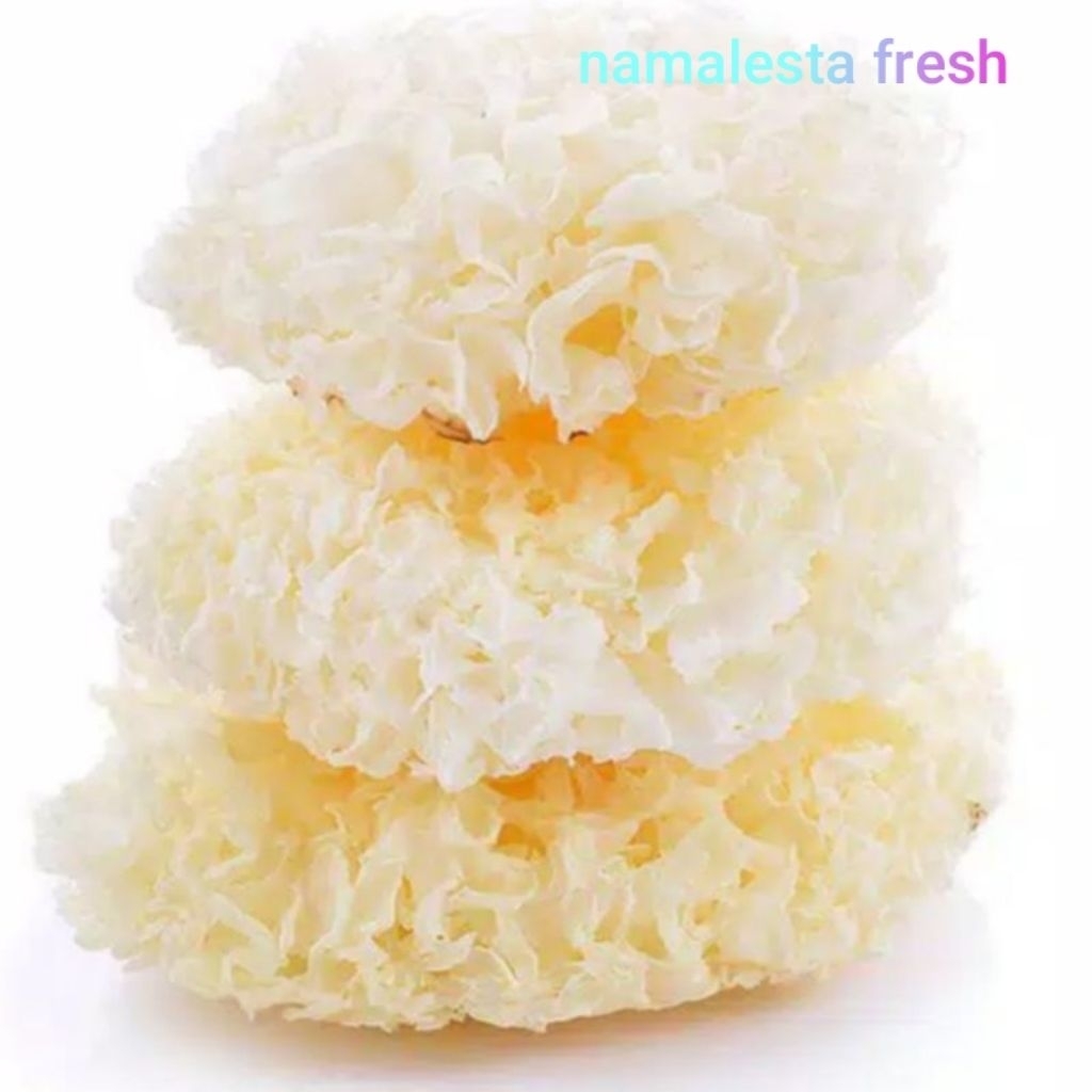 

jamur salju-namafresh