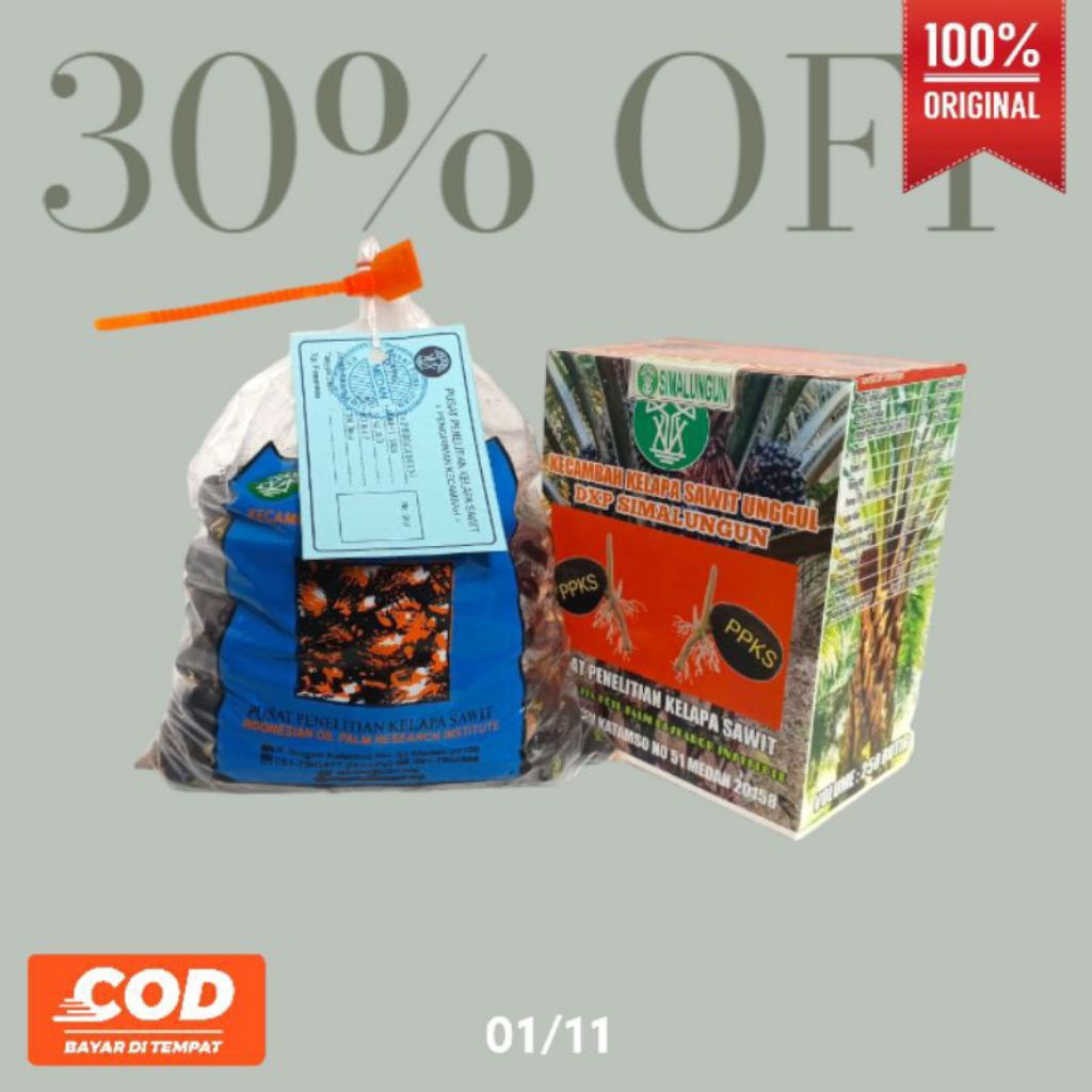 bibit kecambah sawit simalungun