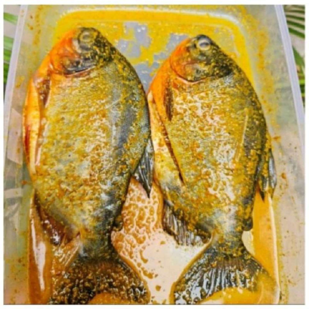 

ikan bawal marinasi 500 gr