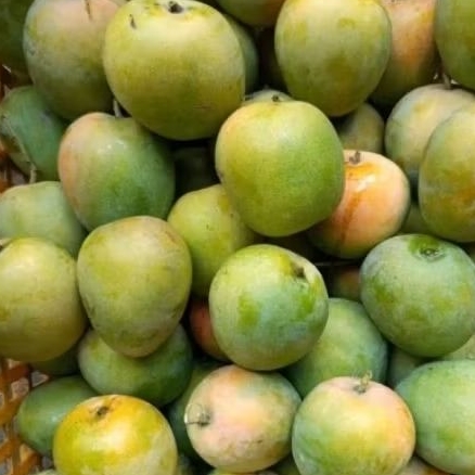 Buah mangga gedong gincu super manis mangga segar 1kg