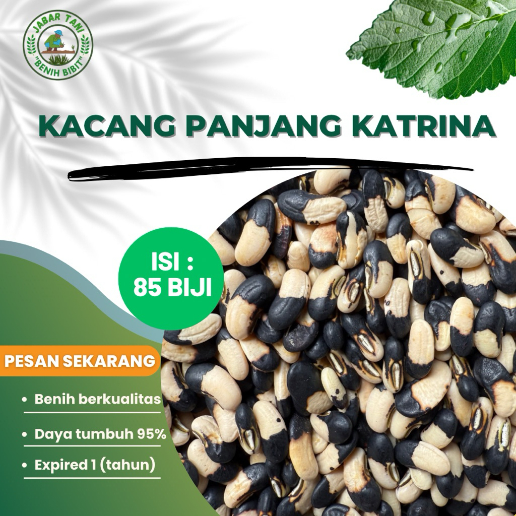 85 biji benih kacang panjang Katrina repack