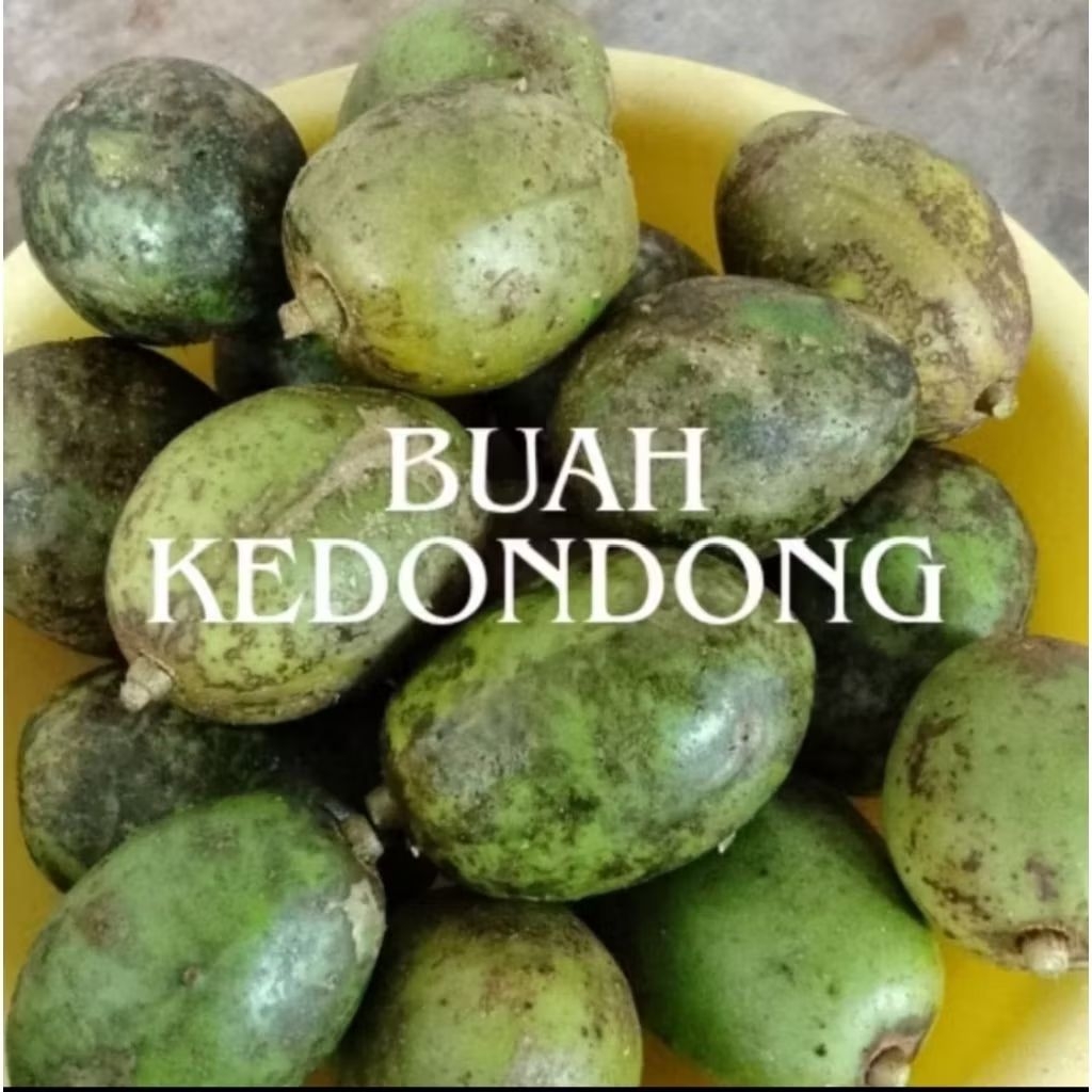 

Buah kedondong segar untuk rujak 500 gram lokalalan