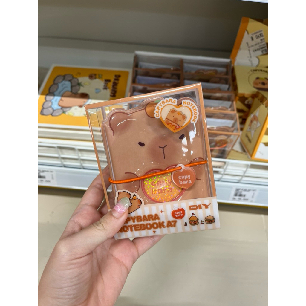 

Binder Capybara notes A7 notebook