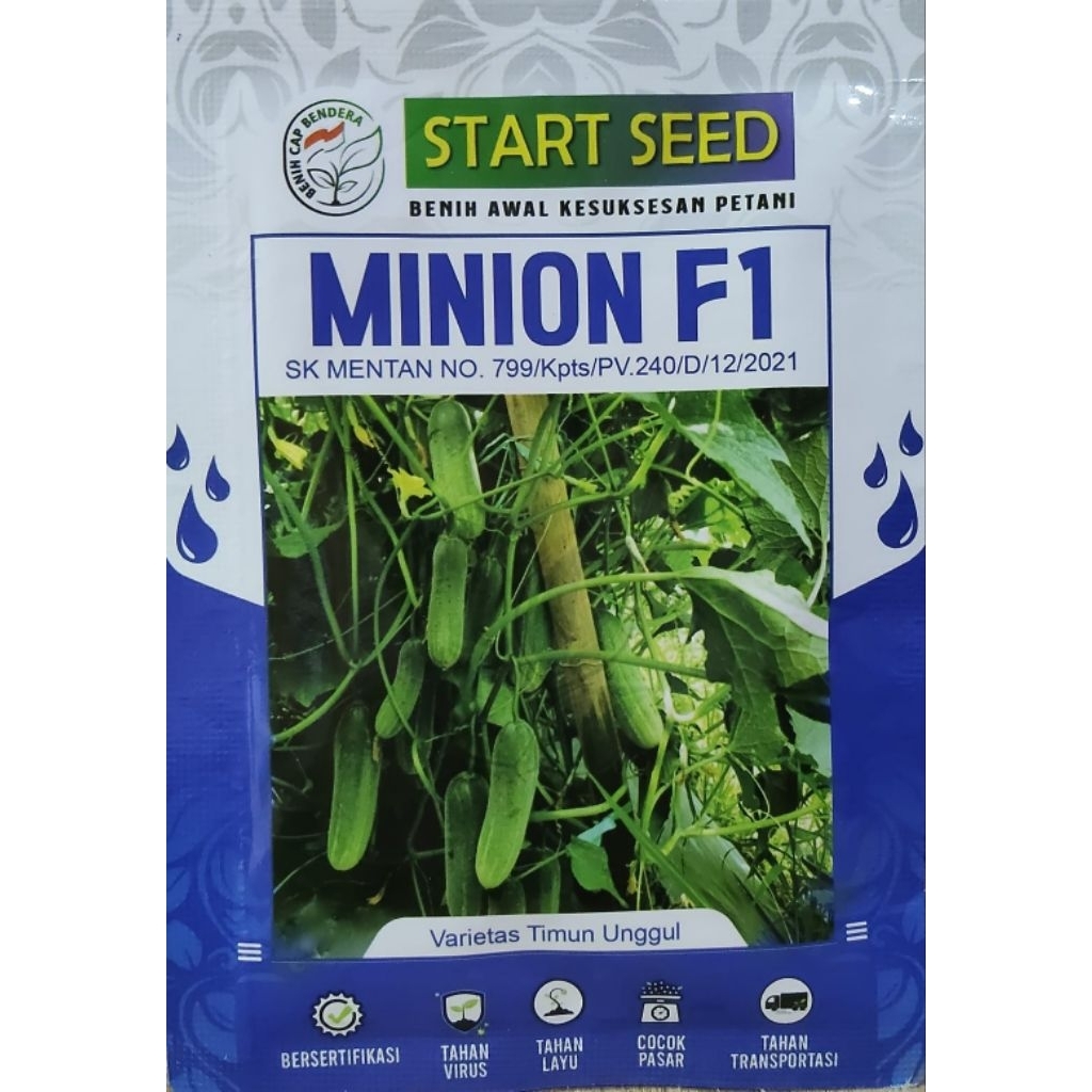 Benih Timun Buah Manis Sampai Ujung MINION FI isi 20gram