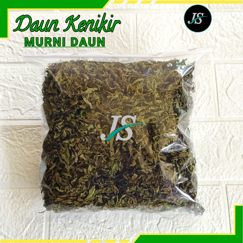 Daun Kenikir Kering 50gram (MURNI DAUN) Tidak Sama Tangkai Atau Batangnya