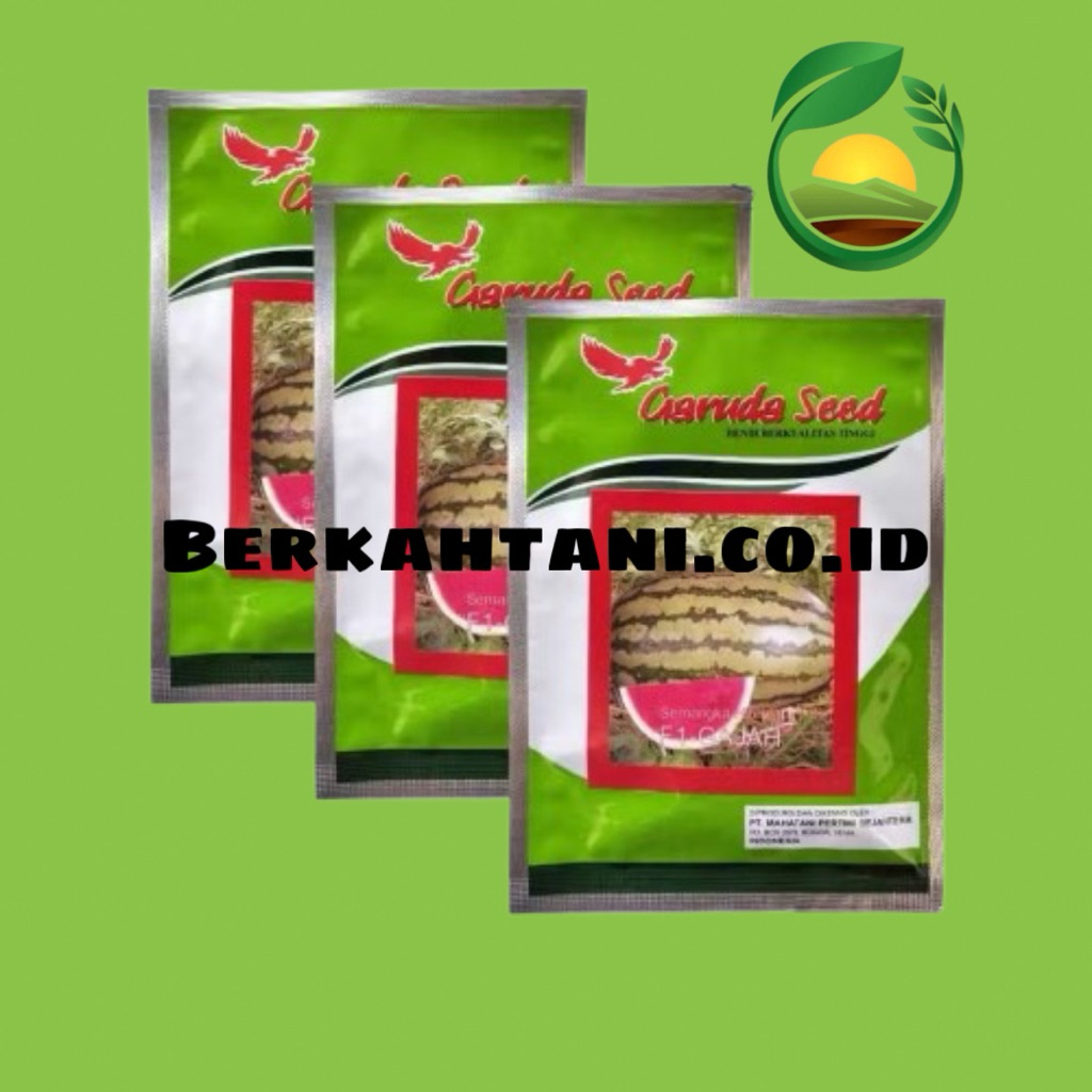 Gajah F1 10gr Benih Semangka Merah Garuda Seed Diva