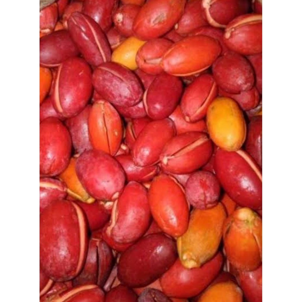 

mlinjo wonogiri.di sayur di oseng sangat lezat 100 gr