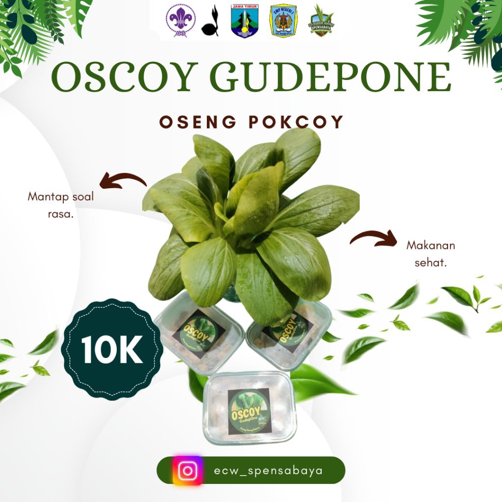 

OSCOY GudepOne