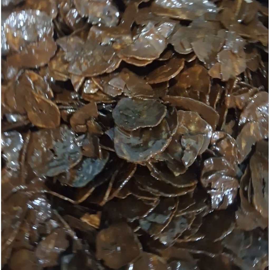 

KERIPIK PISANG LUMER RASA COKELAT