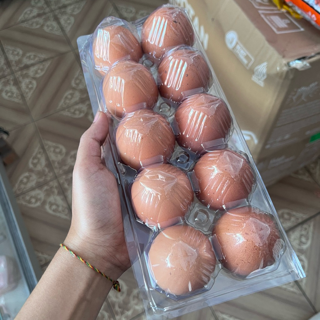 (isi 50pcs) MIKA TELUR 10 biji   MIKA FITO GROSIR MIKA MURAH