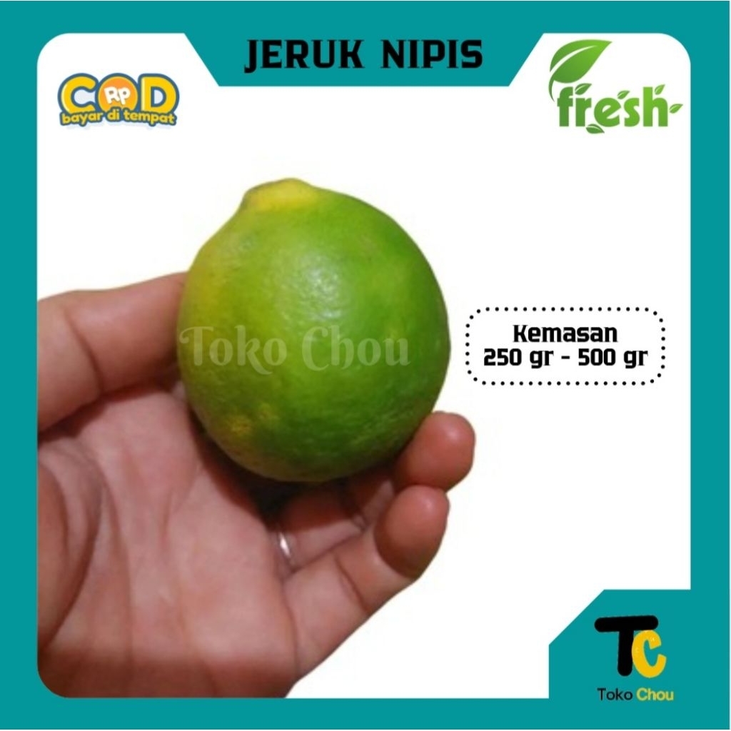 

Jeruk Nipis Fresh Banyak Air Kemasan 250gr - 500gr