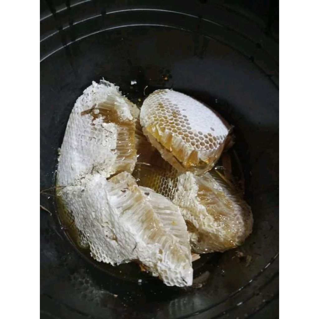 

Madu Sarang hutan liar Salsabil 1kg full asli