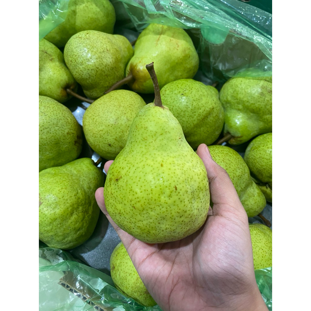 

PEAR PACKHAM AFRIKA MANIS ENAK LEMBUT FRESH RENDAH KALORI PAS UNTUK DIET