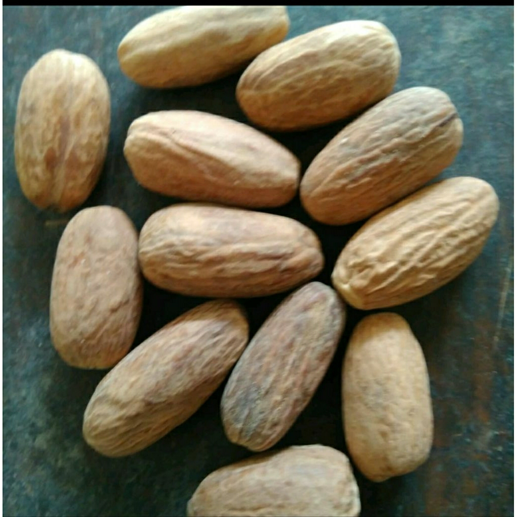 

Pala biji nutmeg rempah nusantara