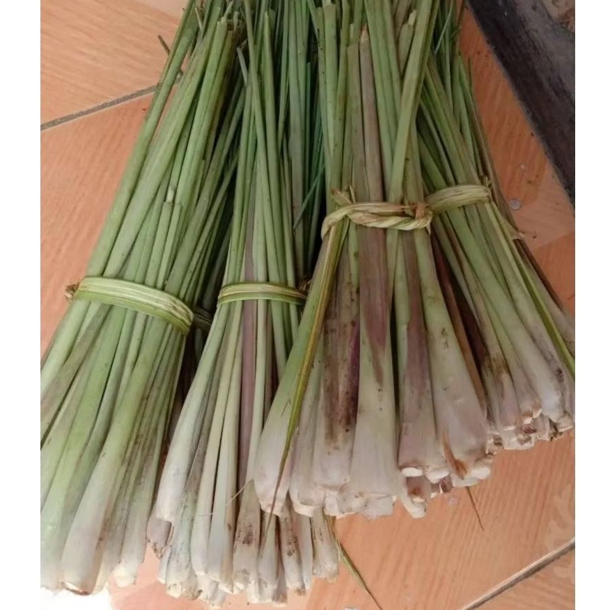 

Sereh Segar – Bumbu Masak / Herbal Tradisional / Serba 10K (250 gram)