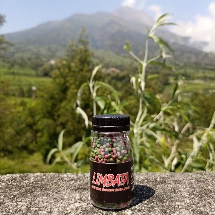 Pelet Limbata Super Color RKFish Aquatic Pakan Channa Limbata